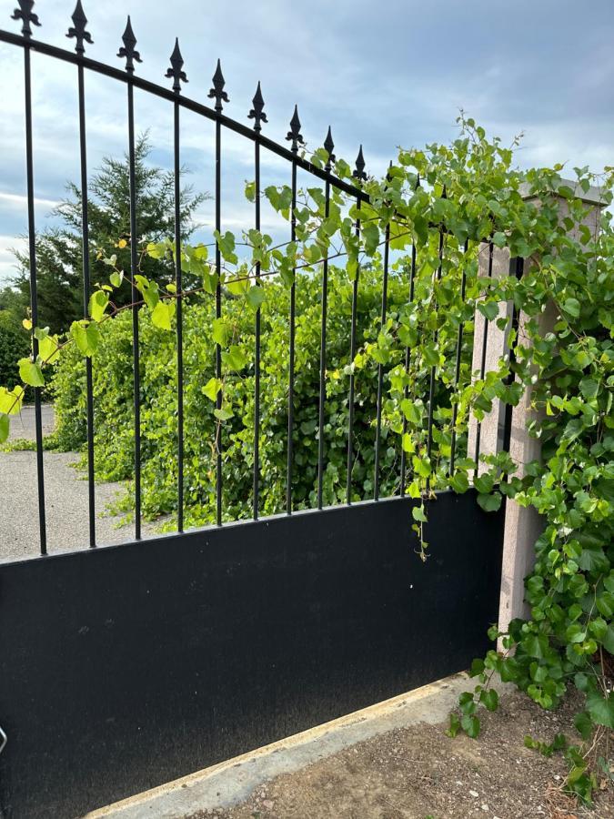 La Villa Du Rayol Saint Maximin Εξωτερικό φωτογραφία